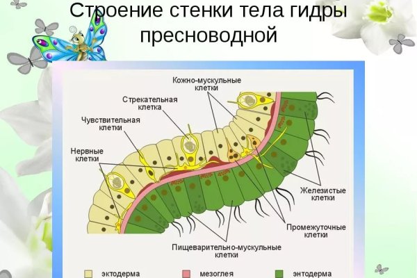 Ссылка на кракен официальный