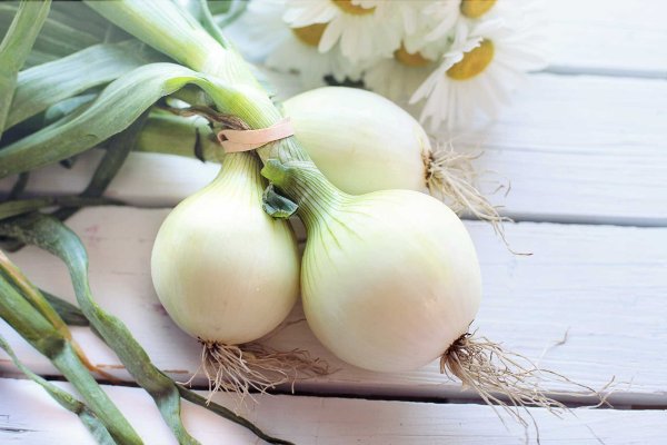 Кракен сайт kr2web