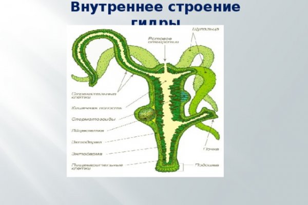 Войти даркнет