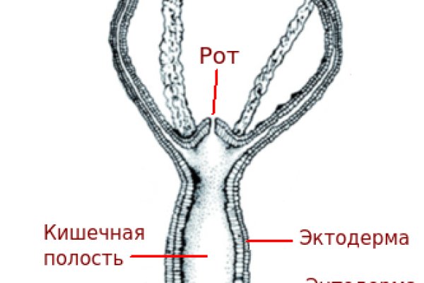 Тор браузер кракен